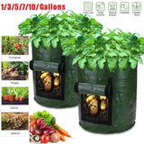 Vegetable Onion Cultivation Planting Bag