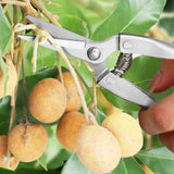 Stainless Steel Pruning Shears Gardening Tools