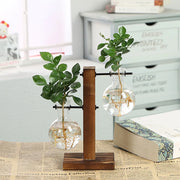 Hydroponic Plant Vases Vintage Flower Pot